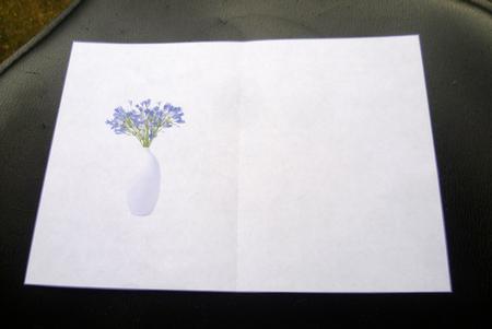 Californian Bluebells Insert by Charlie Angel