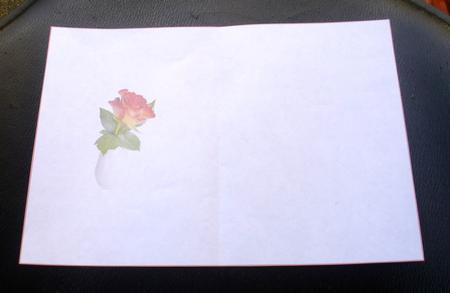 Rose Insert by Charlie Angel
