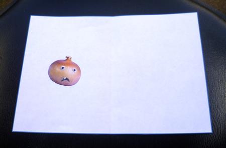 Funny Onion Wrinkles Insert by Charlie Angel