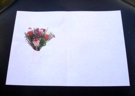 Protea & Rose Bouquet Insert by Charlie Angel