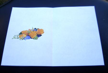Yellow Roses Insert by Charlie Angel