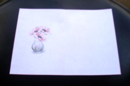 Pink Anemone Blush A5 Insert by Charlie Angel