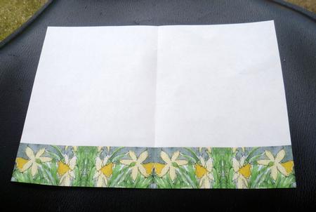Large Daffodils Strip Along Bottom Insert by Charlie Angel