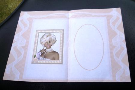 Pretty Lady Insert by Charlie Angel