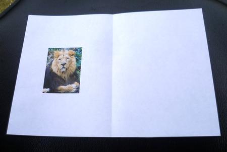 Lion King Insert A5 by Charlie Angel