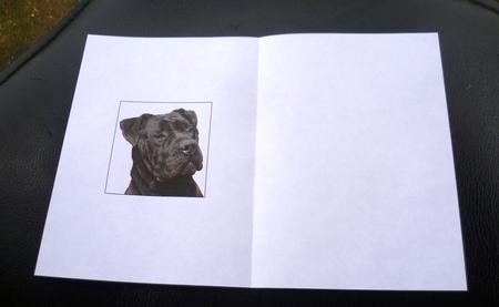 Prsea Canario Insert A5 Ink Saving by Charlie Angel