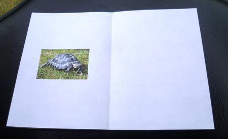 Tortoise Insert Ink Saving A5 by Charlie Angel
