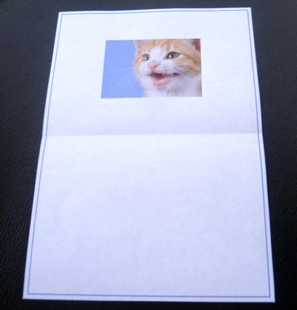 Kitten Smile Insert 7x5inch by Charlie Angel