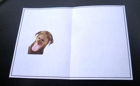 Doberman Smile 7x5inch Insert by Charlie Angel