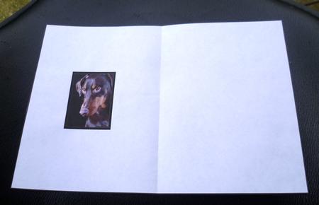 Doberman Profile Ink Saving Insert by Charlie Angel