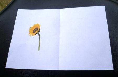 Sunflower Single Insert Ink Saving by Charlie Angel