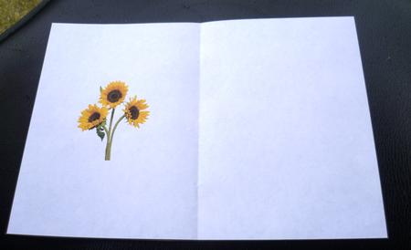 Sunflower Trio Ink Saving Insert by Charlie Angel