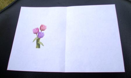 Tulip Trio Insert Ink Saving by Charlie Angel