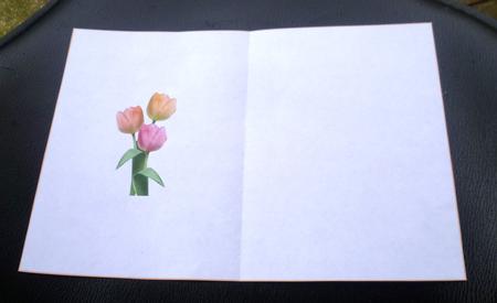 Tulip Trio Peach Tones Insert by Charlie Angel