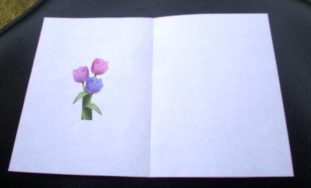 Tulip Trio Purple Tones Ink Saving Insert by Charlie Angel