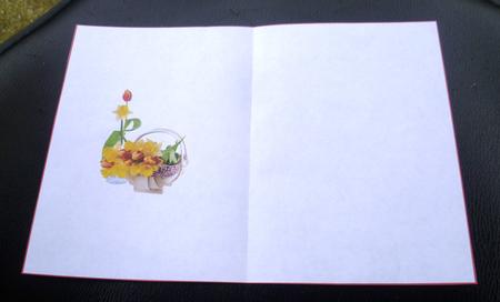 Tulip & Daffodils Insert by Charlie Angel