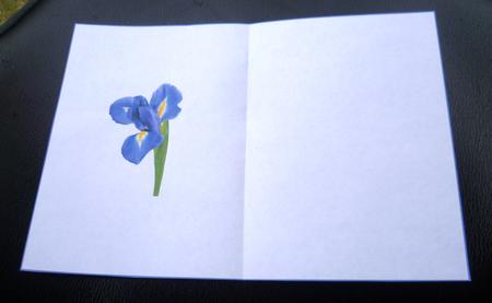 Iris Insert Ink Saving by Charlie Angel