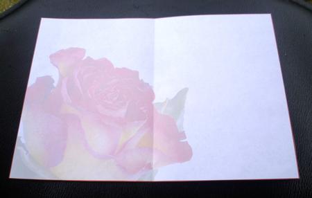 Flame Rose Insert by Charlie Angel