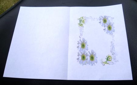 Daisy Insert by Charlie Angel