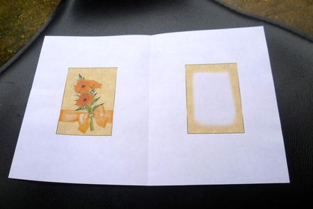 Gebera Daisy Pure and Simple Insert by Charlie Angel