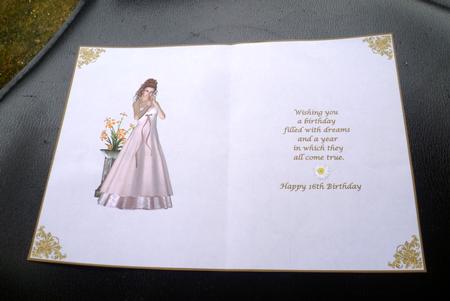Pretty in Pink 16th Birthday Insert by Charlie Angel