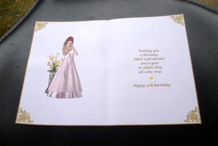Pretty in Pink 17th Birthday Insert by Charlie Angel