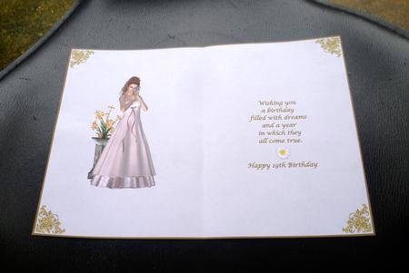 Pretty in Pink 19th Birthday Insert by Charlie Angel