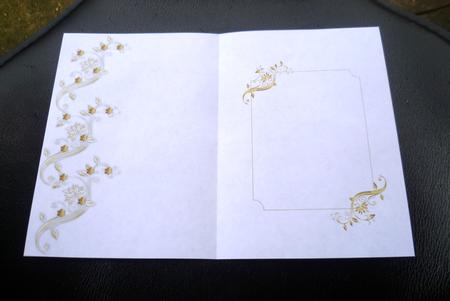 Flourish Insert 2 by Charlie Angel