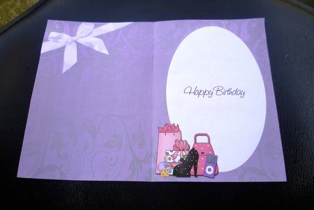 Totally Teen -  Co-ordinating Insert 2 by Charlie Angel