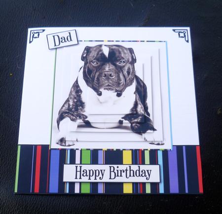 Staffie & Liquorice Stripe Pyramid Topper by Charlie Angel