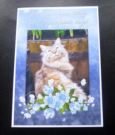 Cat Birthday Greeting Card Front with Flowers by Charlie Angel