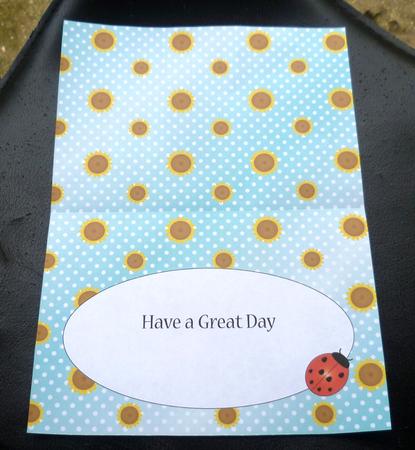 Flower and Ladybird Insert 1 by Charlie Angel