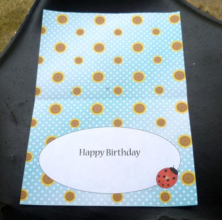 Flower and Ladybird Insert 2 by Charlie Angel