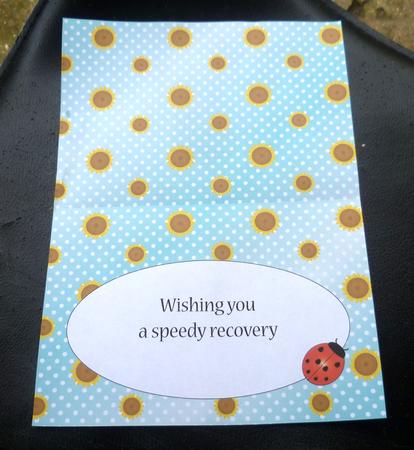 Flower and Ladybird Insert 3 by Charlie Angel