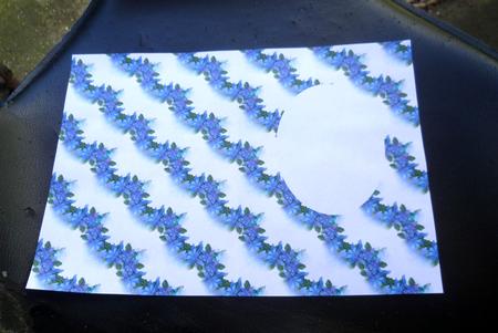 Flower Fairies Insert by Charlie Angel
