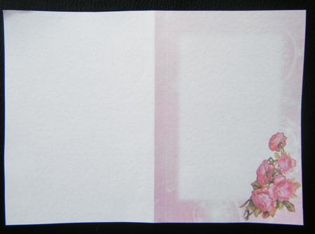 Pink Delice Insert Sheet by Charlie Angel
