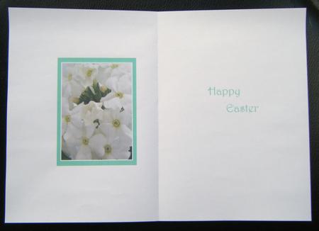 Happy Easter White Phlox Insert by Charlie Angel