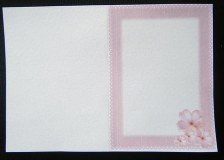 Pink Satin and Lace Delight - Insert by Charlie Angel