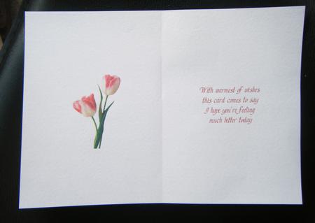 Romantic Tulip by Charlie Angel
