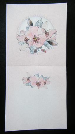 Posy & Pearls Insert - Square Landscape by Charlie Angel