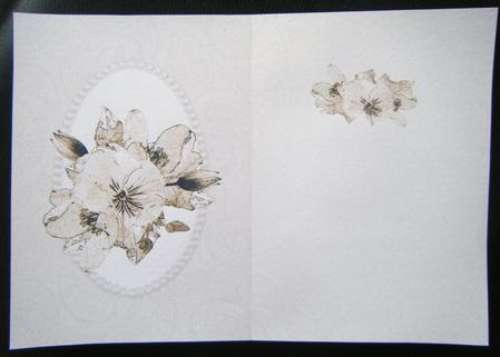 Posy & Pearls Insert - Portrait by Charlie Angel
