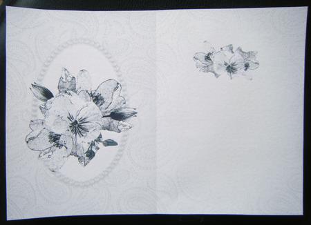 Posy & Pearls Insert - Portrait by Charlie Angel