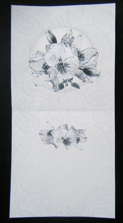 Posy & Pearls Insert - Square Landscape by Charlie Angel