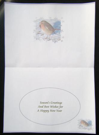 Robin Insert for Landscape Cards by Charlie Angel