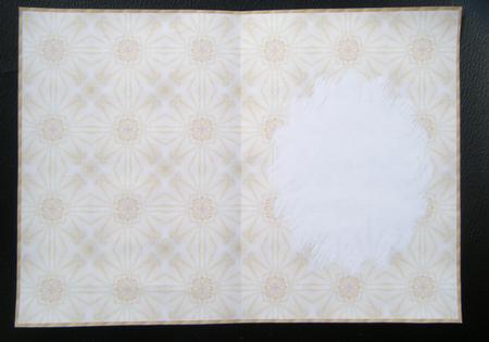 Gold Insert by Charlie Angel