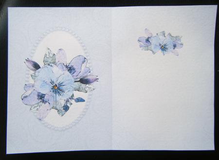 Posy & Pearls Insert - Portrait by Charlie Angel
