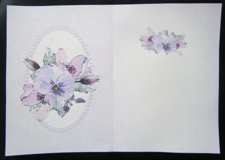 Posy & Pearls Insert - Portrait by Charlie Angel