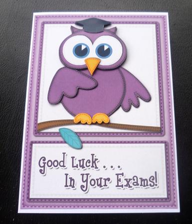 A5 Wise Owl Good Luck Exam Felties Quick Card 3D Decoupage by Charlie Angel