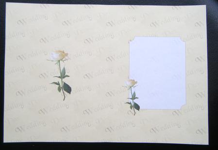 Yellow Rose Wedding Insert by Charlie Angel