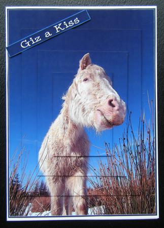 Horse 7x5 Inch Pyramid by Charlie Angel